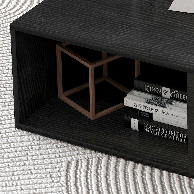 Lusso Designer Wooden Coffee Table (Black)