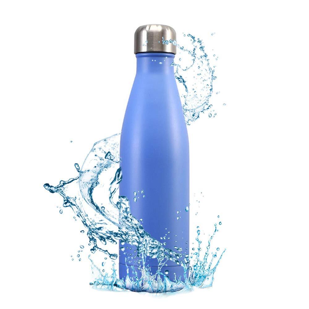 Stainless Steel Vacuum Insulated Sports Water Bottle Thermal Flask (Blue)