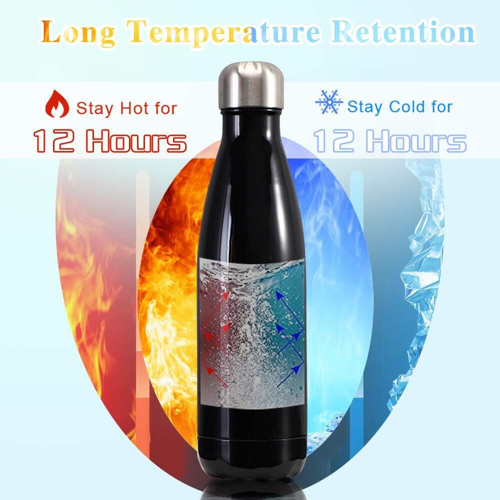 Stainless Steel Vacuum Insulated Water Bottle Thermal Flask (Flamingo)